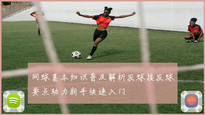网球基本知识普及解析发球接发球要点助力新手快速入门