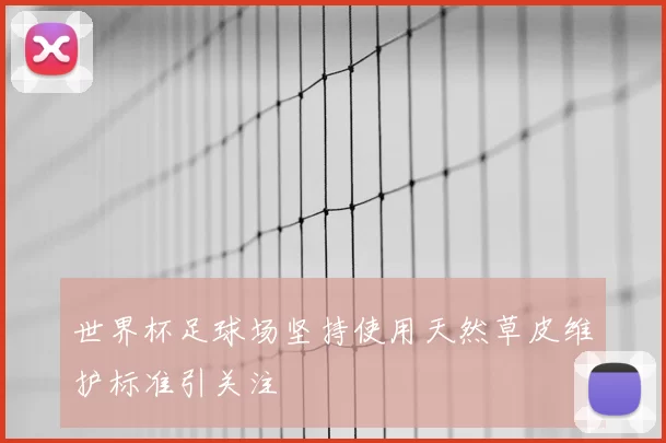 世界杯足球场坚持使用天然草皮维护标准引关注