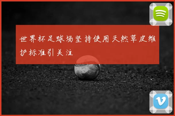 世界杯足球场坚持使用天然草皮维护标准引关注