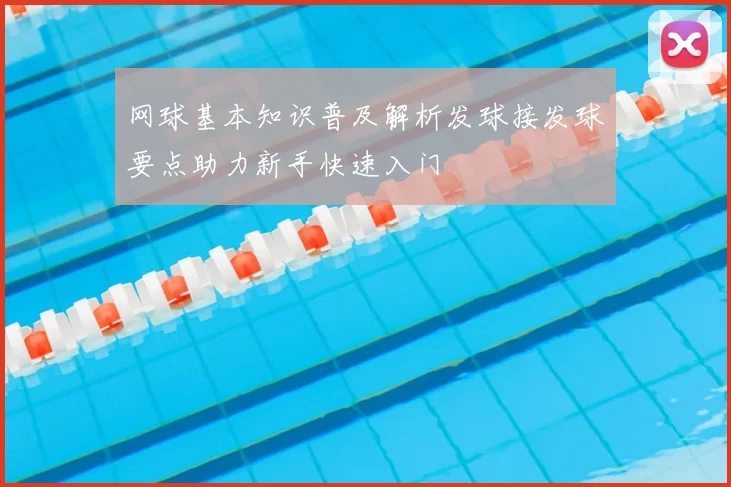 网球基本知识普及解析发球接发球要点助力新手快速入门