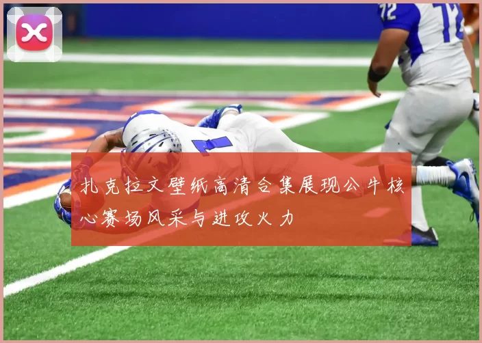 扎克拉文壁纸高清合集展现公牛核心赛场风采与进攻火力