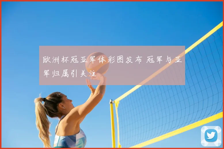 欧洲杯冠亚军体彩图发布 冠军与亚军归属引关注