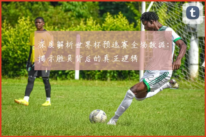 深度解析世界杯预选赛全场数据：揭示胜负背后的真正逻辑